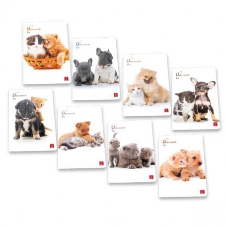 CF10 QUA 20FG DOLCI CUCC A4 80G ASS (02320475M)