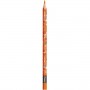 CF 24 MINI CUTE MATITE COLORATE (862203)