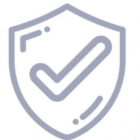 LIC CPS X PV INCL MOD 193 (E-CPSW-N1)