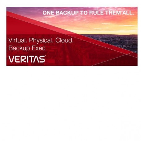 BE GOLD STD LIC + ESS MAIN 36MO GOV (20698-M0034)