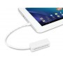Hamlet Cavo adattatore micro USB OTG to LAN converte in porta RJ-45 Fast Ethernet 10/100 Mbps per Tablet e Smartphone (HNUMF100)