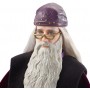Harry Potter FYM54 bambola (FYM54)