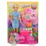 Barbie Travel Doll (FWV25)
