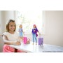 Barbie Travel Doll (FWV25)