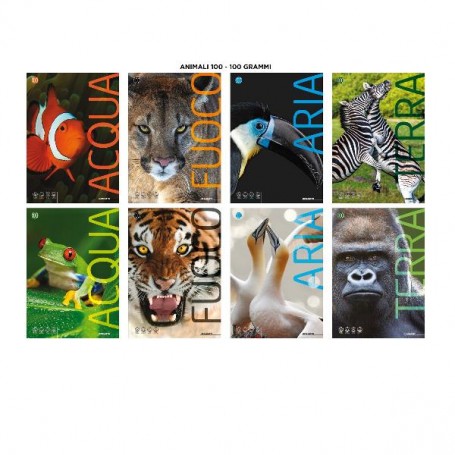 CF10 QUAD. ANIMALI 100G A4 1R (7863)