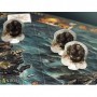 Kosmos 16354758 espansione del gioco da tavola (16354758)