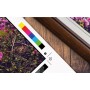 Epson SureColor SC-P7500 Spectro (C11CH12301A2)