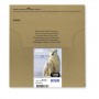 Epson Polar bear Multipack 4-colours 26XL EasyMail (C13T26364511)