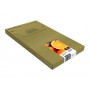 Epson Oranges Multipack 5-colours 33XL Claria Premium Ink EasyMail (C13T33574510)