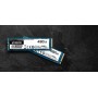 Kingston Technology DC1000B M.2 240 GB PCI Express 3.0 3D TLC NAND NVMe (SEDC1000BM8/240G)