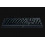 Razer Cynosa Lite tastiera USB QWERTY Italiano Nero (RZ03-02742000-R3H1)