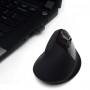 Ewent EW3158 mouse Mano destra RF Wireless 1600 DPI (CEEW3158)