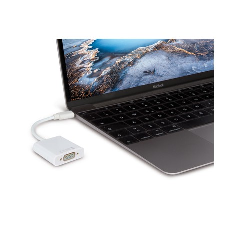 Hamlet HVATC2VGA cavo e adattatore video 0,13 m USB tipo-C VGA (D-Sub) Bianco (HVATC2VGA)