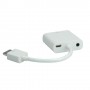 ROLINE HDMI-VGA Cableadapter 0,15 m VGA (D-Sub) HDMI tipo A (Standard) Bianco (RO12.03.3114)