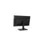 Lenovo ThinkVision T24h-20 60,5 cm (23.8") 2560 x 1440 Pixel Quad HD LED Nero (61F0GAT1IT)