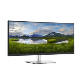DELL Monitor USB-C curvo 34: P3421W (DELL-P3421WM)
