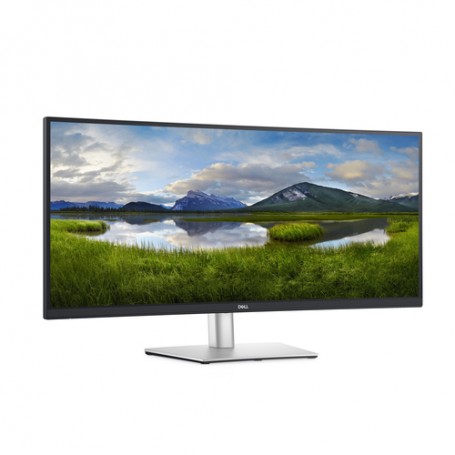 DELL Monitor USB-C curvo 34: P3421W (DELL-P3421WM)
