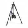 Manfrotto Element MII Aluminium treppiede Fotocamere digitali/film 3 gamba/gambe Nero, Blu (MKELMII4BL-BH)