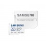 Samsung EVO Plus 256 GB MicroSDXC UHS-I Classe 10 (MB-MC256KA/EU)