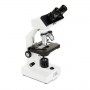 MICROSCOPIO LABS CB2000CF (CM44131)