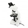 MICROSCOPIO LABS CB2000CF (CM44131)
