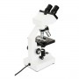 MICROSCOPIO LABS CB2000CF (CM44131)