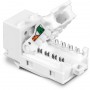 Trendnet TC-K50C6 modulo Keystone (TC-K50C6)