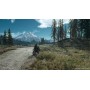 Sony PS4 Days Gone (9797319)