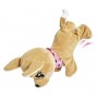 CHI CHI LOVE BABY BOO (105893500009)