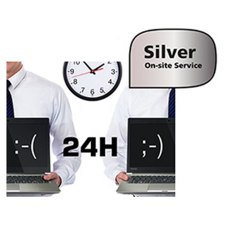 Dynabook SONS103EU-V estensione della garanzia (SONS103EU-V)