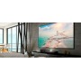 Optoma ALR101 schermo per proiettore 2,54 m (100") 16:9 (ALR101)