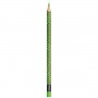 CF18 PASTELLI TRIANG COLORPEPS ASS (832218)