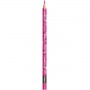 CF 24 MINI CUTE MATITE COLORATE (862203)