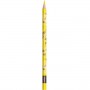 CF 24 MINI CUTE MATITE COLORATE (862203)