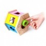 Hape Toys E0407 giocattolo educativo (E0407)