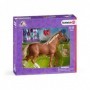 Schleich Horse Club 42360 action figure giocattolo (42360)