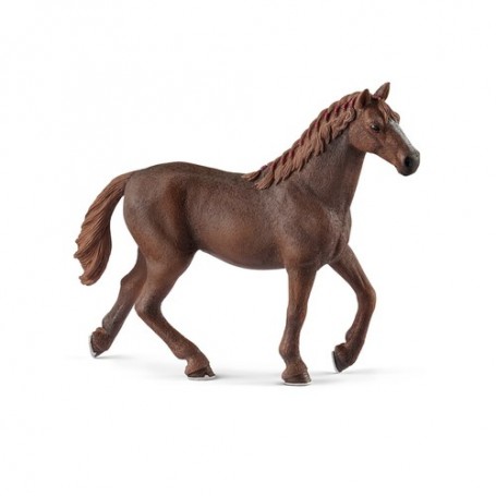Schleich Horse Club 13855 action figure giocattolo (13855)