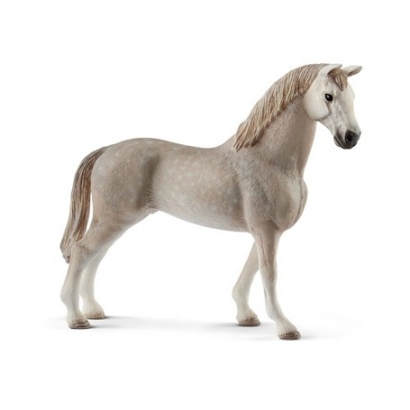 Schleich Horse Club 13859 action figure giocattolo (13859)