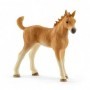 Schleich Horse Club 42432 set da gioco (42432)