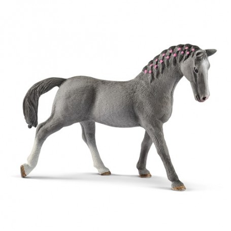 Schleich Horse Club 13888 action figure giocattolo (13888)