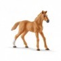 Schleich Horse Club 42458 set da gioco (42458)