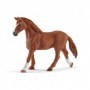 Schleich Horse Club 42458 set da gioco (42458)