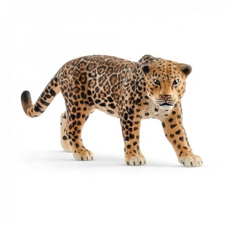 Schleich Wild Life 14769 action figure giocattolo (14769)