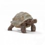 Schleich Wild Life 14824 action figure giocattolo (14824)