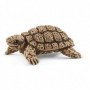 Schleich Wild Life 42506 set di action figure giocattolo (42506)