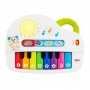 Fisher-Price GFK01 giocattolo educativo (GFK01)