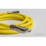 Alcasa GC-M0028 cavo HDMI 2 m HDMI tipo A (Standard) Giallo (GC-M0028)