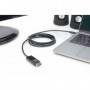 Digitus DB-300333-020-S cavo e adattatore video 1,8 m USB tipo-C DP Nero (DB-300333-020-S)