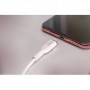 Digitus 1m, Lightning/USB-A Bianco (DB-600106-010-W)
