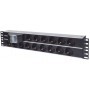 Intellinet 714051 unità di distribuzione dell'energia (PDU) 15 presa(e) AC 2U Alluminio, Nero (714051)